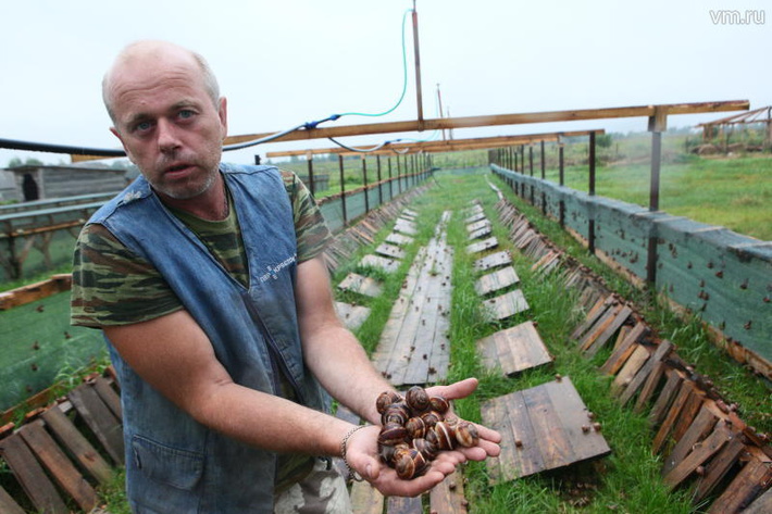 ZmlsZXMudm0ucnUvcGhvdG8vdmVjaGVya2EvMjAxNi8wOC9kb2M2cXoyaGRqYWtuY3E1b3dmZDRoXzgwMF80ODAuanBnP19faWQ9ODE4NjE=