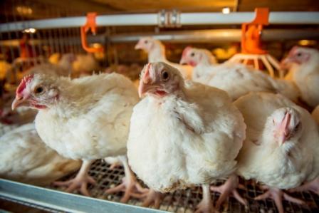 ccs-5339-0-72648000-1469301131