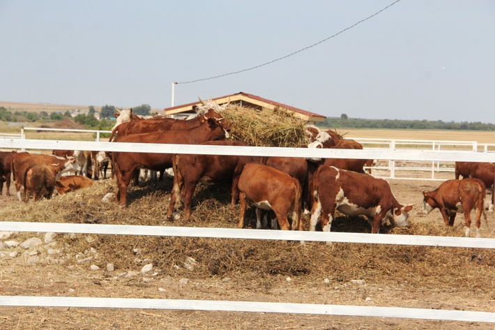 d3d3LnNkZWxhbm91bmFzLnJ1L3VwbG9hZHMvNS8yLzUyODE0NzE4ODU2MjNfb3JpZy5qcGVnP19faWQ9ODIwNTU=