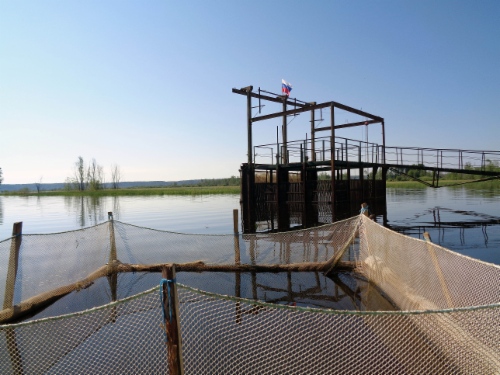 w500_geologorazvedka-01