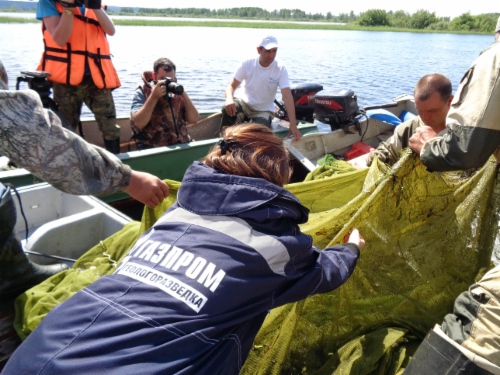 w500_geologorazvedka-02