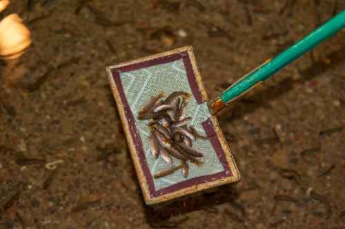 w500_yuzhno-sakhalinsk-02