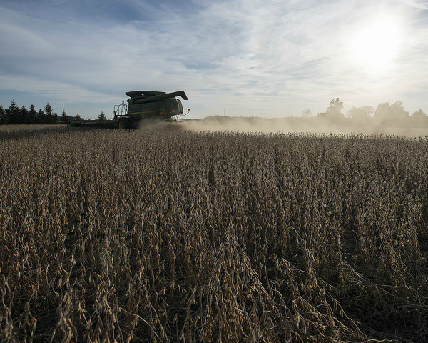 3aa17394a08b52be6da969e141513a01