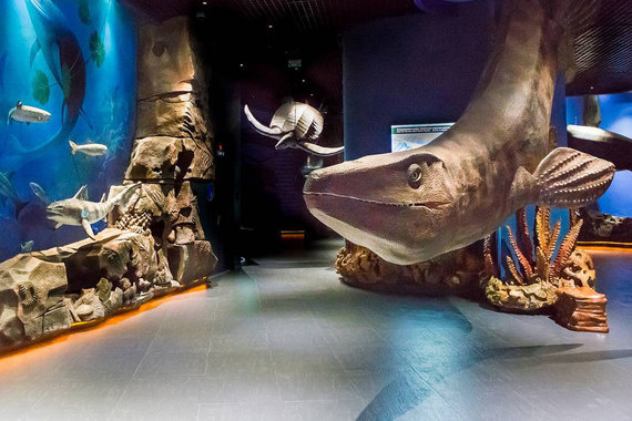 Y2RuLnZlZG9tb3N0aS5ydS9pbWFnZS8yMDE2LzZ1LzE2bmQybC9kZWZhdWx0LTFqOXQuanBnP19faWQ9ODI3Mzk=