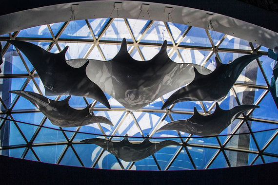 Y2RuLnZlZG9tb3N0aS5ydS9pbWFnZS8yMDE2LzZ1LzE3NTQzci9kZWZhdWx0LTFqd3YuanBnP19faWQ9ODI3Mzk=