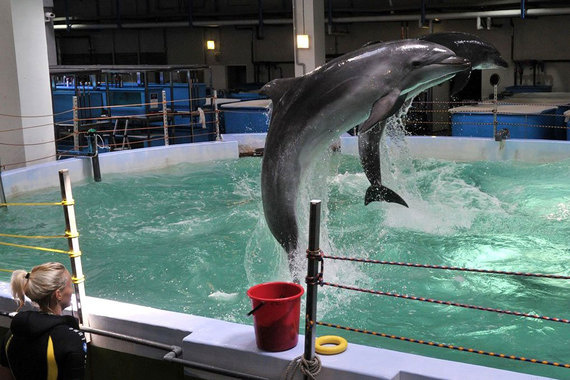 Y2RuLnZlZG9tb3N0aS5ydS9pbWFnZS8yMDE2LzZ1LzE3aWsxNy9kZWZhdWx0LTFrZTkuanBnP19faWQ9ODI3Mzk=