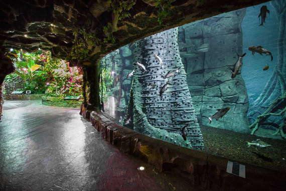 Y2RuLnZlZG9tb3N0aS5ydS9pbWFnZS8yMDE2LzZ1LzE4MXpoeS9kZWZhdWx0LTFsM2YuanBnP19faWQ9ODI3Mzk=