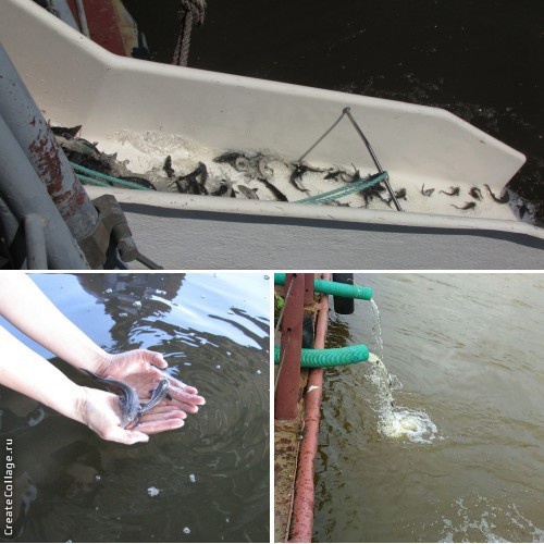 yw1ydi5yds9pbwfnzxmvc3rvcmllcy8ymde2lzixmdkymde2lmpwzz9fx2lkptg0mtey