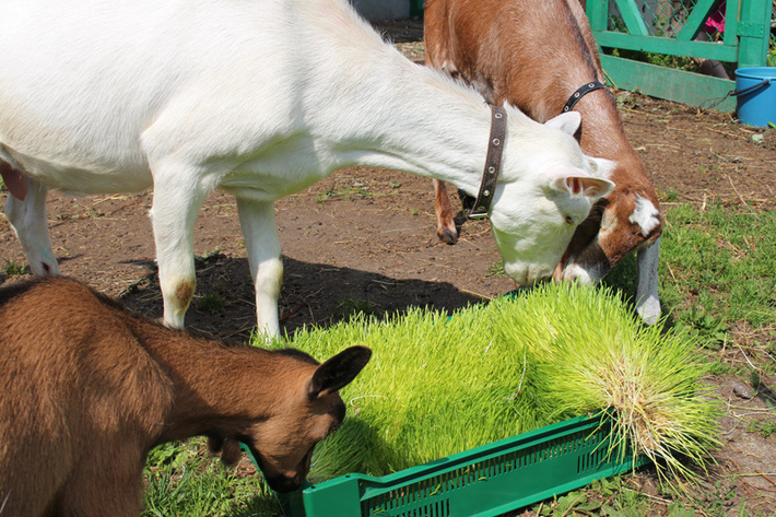 z3jlzw4taglsbhmuc3bilnj1l2ltywdlcy9nb2f0l2ivns5qcgc_x19pzd04mzkwmq