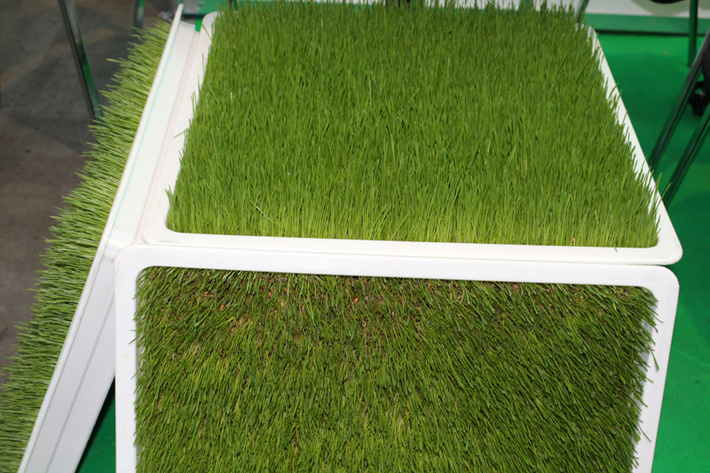 z3jlzw4taglsbhmuc3bilnj1l2ltywdlcy9pchbvl2ivns5qcgc_x19pzd04mzkwmq