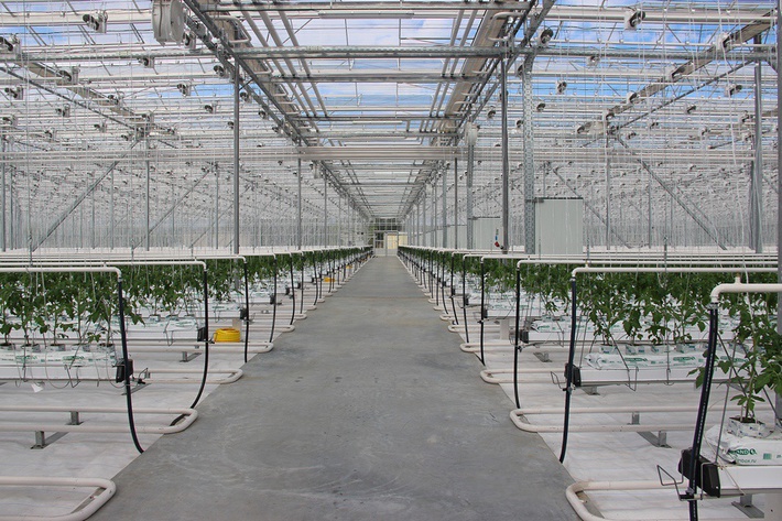 awmucgljcy5saxzlam91cm5hbc5jb20vm29qbg90b3uvmjq5ndu5odcvmzi3ndy5oc8zmjc0njk4x29yawdpbmfslmpwzz9fx2lkptgzntyz