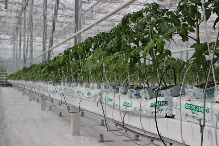 awmucgljcy5saxzlam91cm5hbc5jb20vm29qbg90b3uvmjq5ndu5odcvmzi3ndc4os8zmjc0nzg5x29yawdpbmfslmpwzz9fx2lkptgzntyz