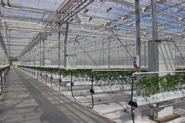 awmucgljcy5saxzlam91cm5hbc5jb20vm29qbg90b3uvmjq5ndu5odcvmzi3ntm3os8zmjc1mzc5x29yawdpbmfslmpwzz9fx2lkptgzntyz