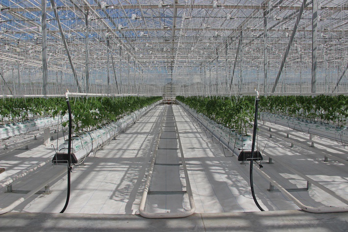 awmucgljcy5saxzlam91cm5hbc5jb20vm29qbg90b3uvmjq5ndu5odcvmzi3ntcwms8zmjc1nzaxx29yawdpbmfslmpwzz9fx2lkptgzntyz