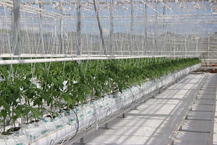 awmucgljcy5saxzlam91cm5hbc5jb20vm29qbg90b3uvmjq5ndu5odcvmzi3njexmc8zmjc2mtewx29yawdpbmfslmpwzz9fx2lkptgzntyz