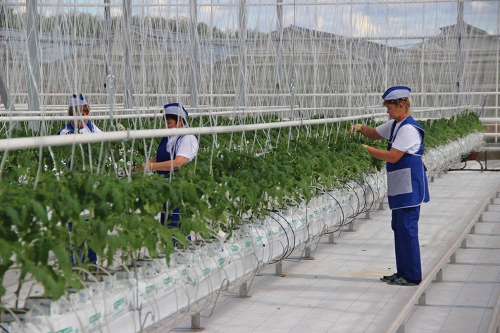 awmucgljcy5saxzlam91cm5hbc5jb20vm29qbg90b3uvmjq5ndu5odcvmzi3njq4mc8zmjc2ndgwx29yawdpbmfslmpwzz9fx2lkptgzntyz