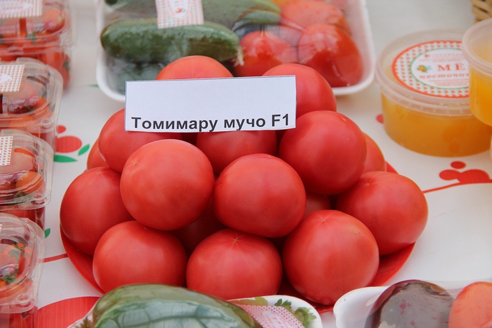 awmucgljcy5saxzlam91cm5hbc5jb20vm29qbg90b3uvmjq5ndu5odcvmzi3nzi3ns8zmjc3mjc1x29yawdpbmfslmpwzz9fx2lkptgzntyz