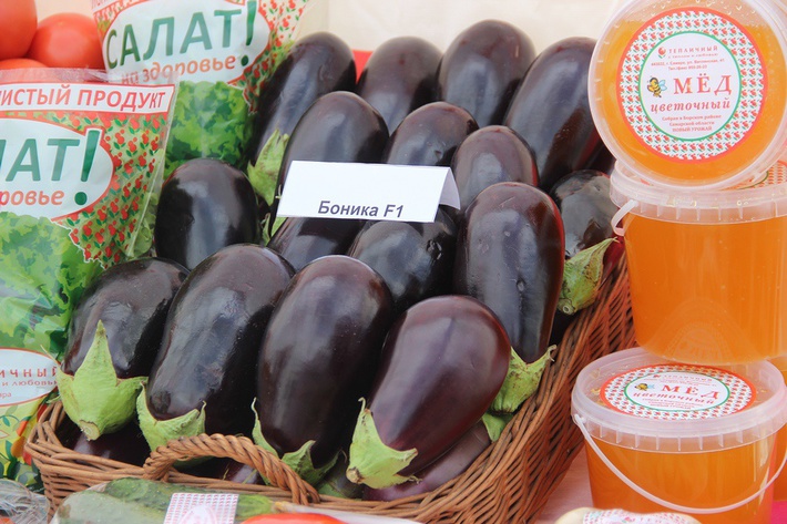 awmucgljcy5saxzlam91cm5hbc5jb20vm29qbg90b3uvmjq5ndu5odcvmzi3odazmc8zmjc4mdmwx29yawdpbmfslmpwzz9fx2lkptgzntyz