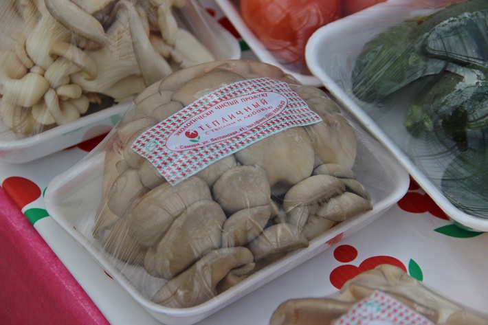 awmucgljcy5saxzlam91cm5hbc5jb20vm29qbg90b3uvmjq5ndu5odcvmzi3odq3ns8zmjc4ndc1x29yawdpbmfslmpwzz9fx2lkptgzntyz