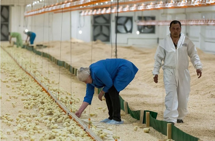 c2rlbgfub3vuyxmucnuvdxbsb2fkcy80lzivndizmtq3nta1nda5n19vcmlnlmpwzwc_x19pzd04nda1mw