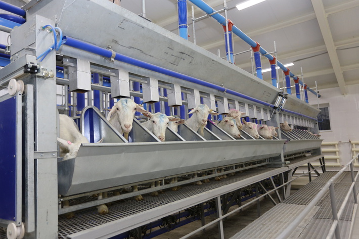 c2RlbGFub3VuYXMucnUvdXBsb2Fkcy82LzQvNjQzMTQ3MzE0MjcyN19vcmlnLmpwZWc_X19pZD04Mjg1Ng==