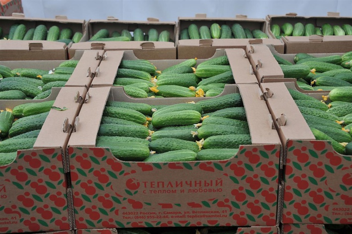 c3qudm9sz2eubmv3cy9pbwfnzs93mti4mc9oodq5l2zpegvkl2yzm2q5nju1lta4y2mtngjhni1iyzi3ltaxntczmzm5mmjmns5qcgc_x19pzd04mzu2mw