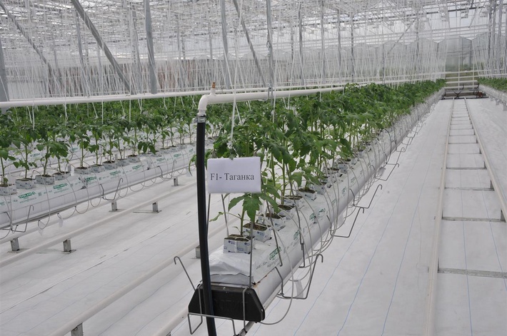 c3qudm9sz2eubmv3cy9pbwfnzs93mti4mc9oodq5l2zpegvklzmwzwzmzdzhlwvmntatngq2os1hy2eyltaxntczmzm5odixoc5qcgc_x19pzd04mzu2mw