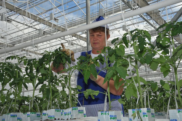 c3qudm9sz2eubmv3cy9pbwfnzs93mti4mc9oodq5l2zpegvklzy1otbinjjllwuyytetngm1ns05mda2ltaxntczmzm5n2qzni5qcgc_x19pzd04mzu2mw