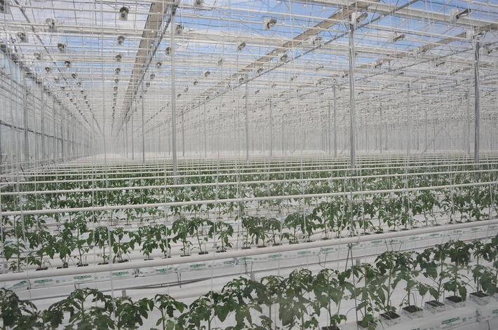 c3qudm9sz2eubmv3cy9pbwfnzs93mti4mc9oodq5l2zpegvklzc3zmjjmjfhltkxnmytndy4my04njrjltaxntczmzm5ndmwys5qcgc_x19pzd04mzu2mw