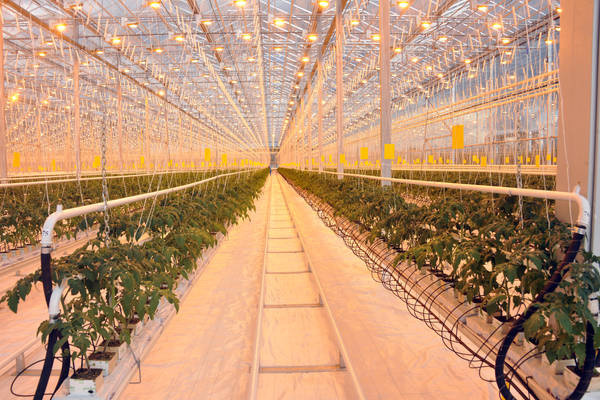 cHJhdi50YXRhcnN0YW4ucnUvZmlsZS9waG90b3JlcG9ydC92aWV3XzE2OTgyODdfMTcyNTEyNS5qcGc_X19pZD04MjgyOA==