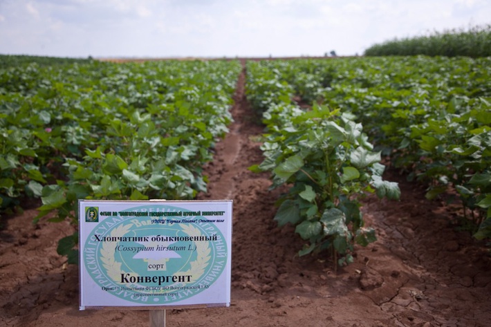 czaxos5yywrpa2fslnj1l2k2mzuvmtywos9kny9iztcxn2e4zti1ytkuanbnp19fawq9odm0ndi