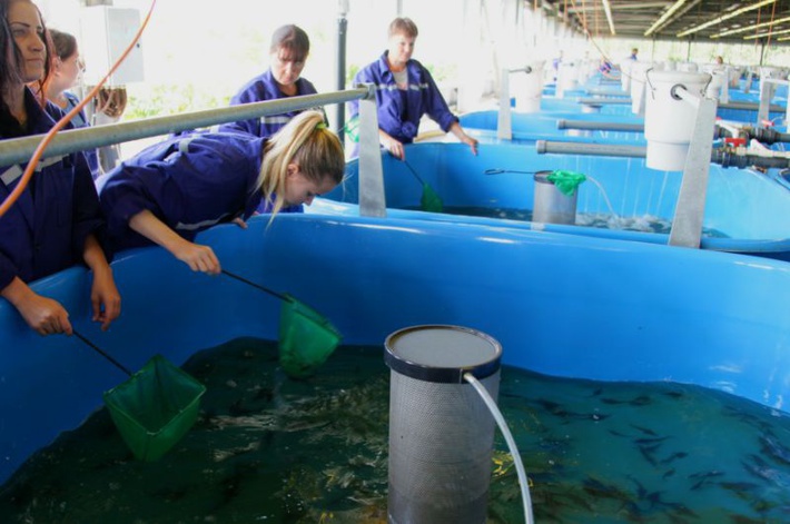 d3d3LmVhby5ydS91cGxvYWQvaWJsb2NrL2NhMi9jYTIxNjE3ZTYyZWM4ZTAyMGE4MWM1MjFhNDVlYmE5OS5qcGc=