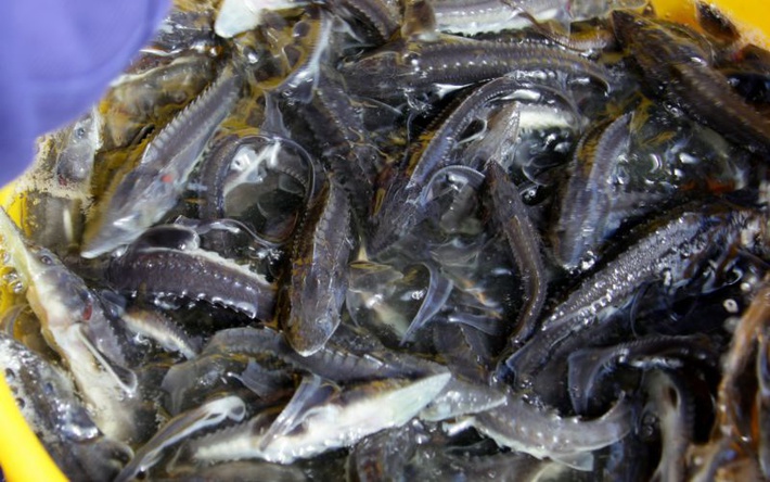 d3d3LmVhby5ydS91cGxvYWQvaWJsb2NrL2YxMC9mMTA0YmJmODg5ZDE3MTViNzJlZDg0Y2UzMDgyY2U5Mi5qcGc=