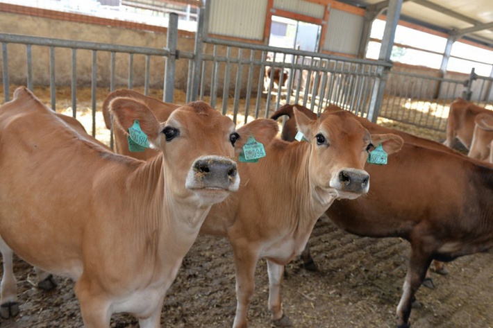 d3d3lnnkzwxhbm91bmfzlnj1l3vwbg9hzhmvny8ylzcymje0nziymjg2ntlfb3jpzy5qcgvnp19fawq9odiynzi