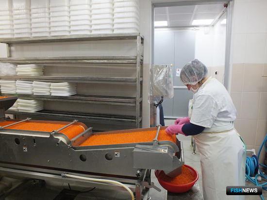 zmlzag5ld3mtchjvzc5zmy5hbwf6b25hd3muy29tl3rodw1ilzazzwnln2ixlti1ndmtnde5zi04ntuwltzlowexnzvhowuyzc9tyxn0zxiuanbnp19fawq9odq4nzi