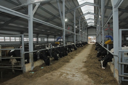 b2t1dnnoaw5uawtvdi5yds9pbwfnzxmvy21zl3rodw1icy9mmguyyzzhywjlmdeyntfjnwuwnzuzoddhotbiyzzinzzhztfmzjvilza0xzq0mf8yotnfanbnlmpwzz9fx2lkptg1mdyw