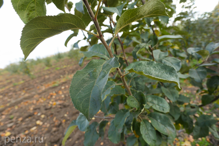 cg56cmvnlnj1l2zpbgvzl3blbnphx25ld3nfcghvdg9zl1b3vuzgatjbmedgws5qcgc