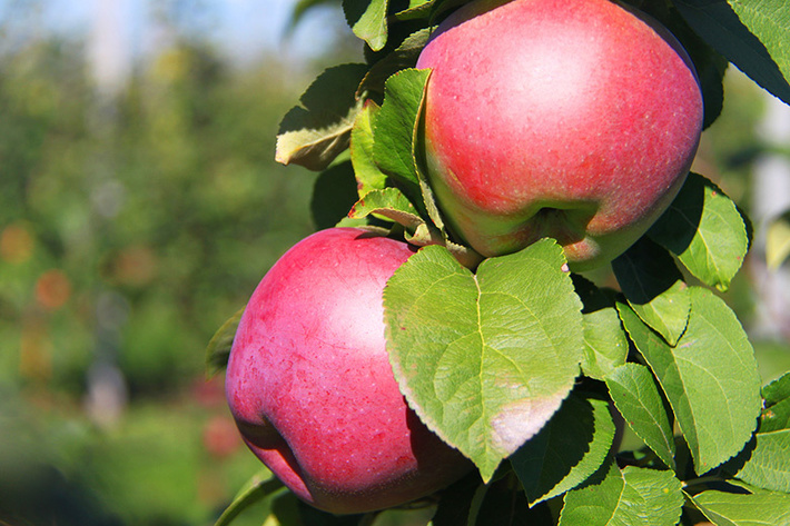 d3d3lmjlbc5yds91cgxvywqvawjsb2nrl2jmzi8zlmpwzz9fx2lkptg0ndq1