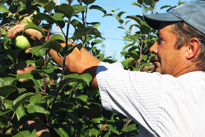 d3d3lmjlbc5yds91cgxvywqvawjsb2nrl2m5mi80lmpwzz9fx2lkptg0ndq1