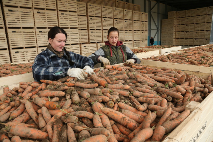 d3d3lmdvdjm5lnj1l3vwbg9hzc9pymxvy2svn2u3lzdlnze3y2myytm5m2mymduxmwq0nzezowjin2m4ody3lmpwzz9fx2lkptg1mdqy