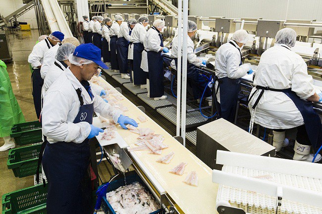 d3d3lnnkzwxhbm91bmfzlnj1l3vwbg9hzhmvni8ylzyynje0nzu0mziwmznfb3jpzy5qcgvnp19fawq9odqymjk