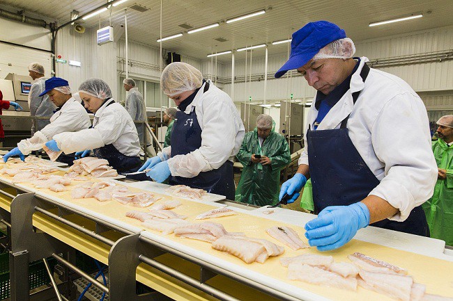 d3d3lnnkzwxhbm91bmfzlnj1l3vwbg9hzhmvny85lzc5nze0nzu0mziwntvfb3jpzy5qcgvnp19fawq9odqymjk