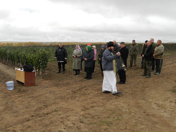 img-114900-zakladka_sada_2