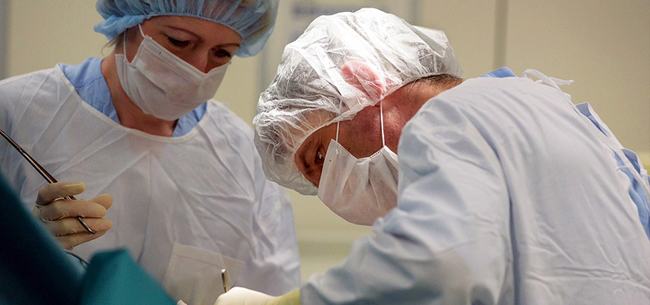 © Пресс-служба Всероссийского центра экстренной и радиационной медицины имени А.М. Никифорова МЧС России