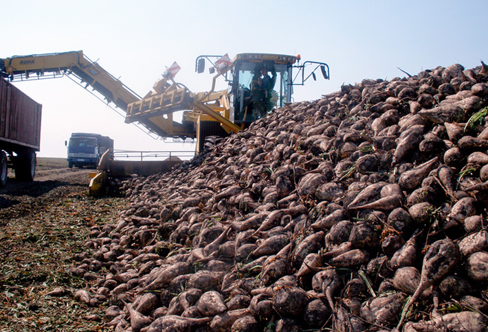 ymvsyxbrlnj1l2zpbgvzl25tbnnszy5qcgc_x19pzd04njm5na