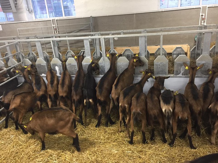 zwtidxjnlnr2l3vwbg9hzhmvntgxzwjizwuzmty4mtfjyty2mmyymge1lze0otgwodqxxzexnjk0nji2otmxmjizntnfmzy4ndizotk0njg0mjc3nti1mv9ulmpwzz9fx2lkptg1odc3