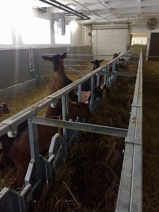 zwtidxjnlnr2l3vwbg9hzhmvntgxzwjizwuzmty4mtfjyty2mmyymgexlze0ote1mzu4xzexnjk0njizodmxmjizodrfnja2mzy3otaxmjm0mty1mty0mf9ulmpwzz9fx2lkptg1odc3