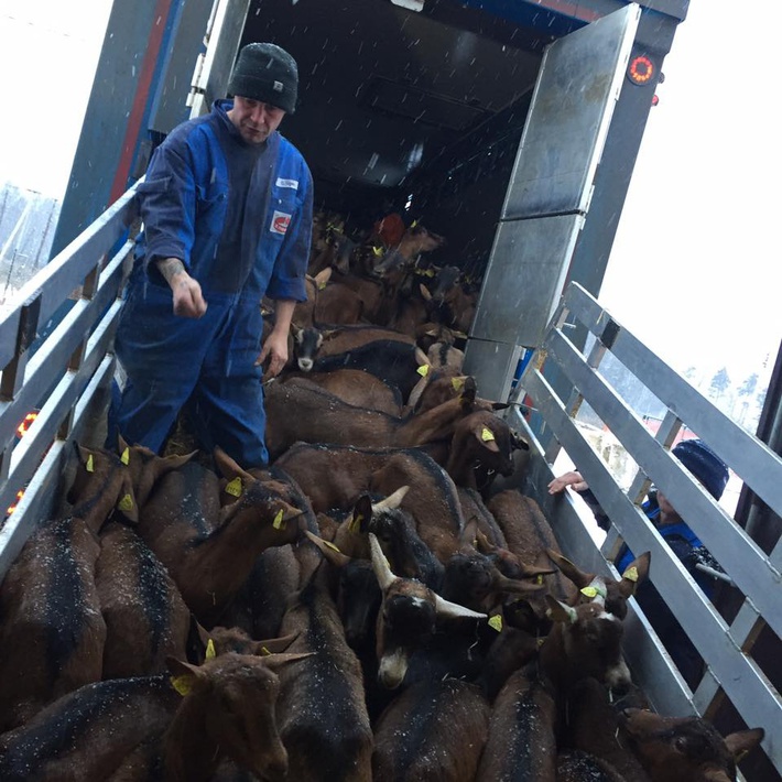 zwtidxjnlnr2l3vwbg9hzhmvntgxzwjizwuzmty4mtfjyty2mmyymgezlze0otq3ndq5xzexnjk0nji1ndk3odkwmzrfnjyxmtu1otc0odm5otu1mzc0nf9ulmpwzz9fx2lkptg1odc3