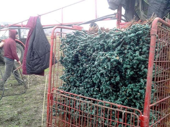 a29tdhyub3jnl3dwlwnvbnrlbnqvdxbsb2fkcy8ymde2lzexlyvemcvbncvemcvcrsvemsu4mivemcvcrtm1njcuanbnp19fawq9ody2nzu