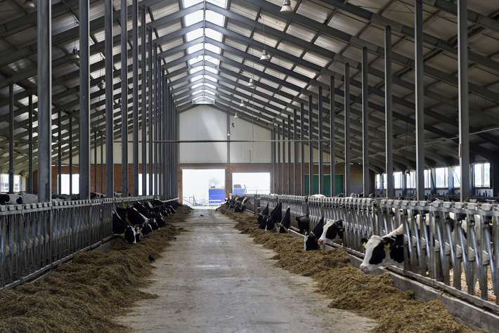 c2rlbgfub3vuyxmucnuvas9klzmvzc9km2qztg5oa1pxeghibtkxym1gekxusjfmm1z3ykc5afpitxznetg0thpnne56rtboell6t0rbek1evmzim0pwwnk1cwnhvm5qmtlmyvdrou9eutnneke9lmpwzz9fx2lkptg1njq1